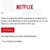 Netflix Survey